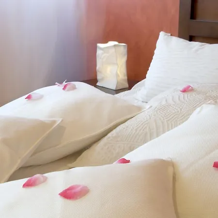 Hotel Salat Les Borges Blanques